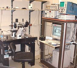 单细胞膜片钳记录分析系统