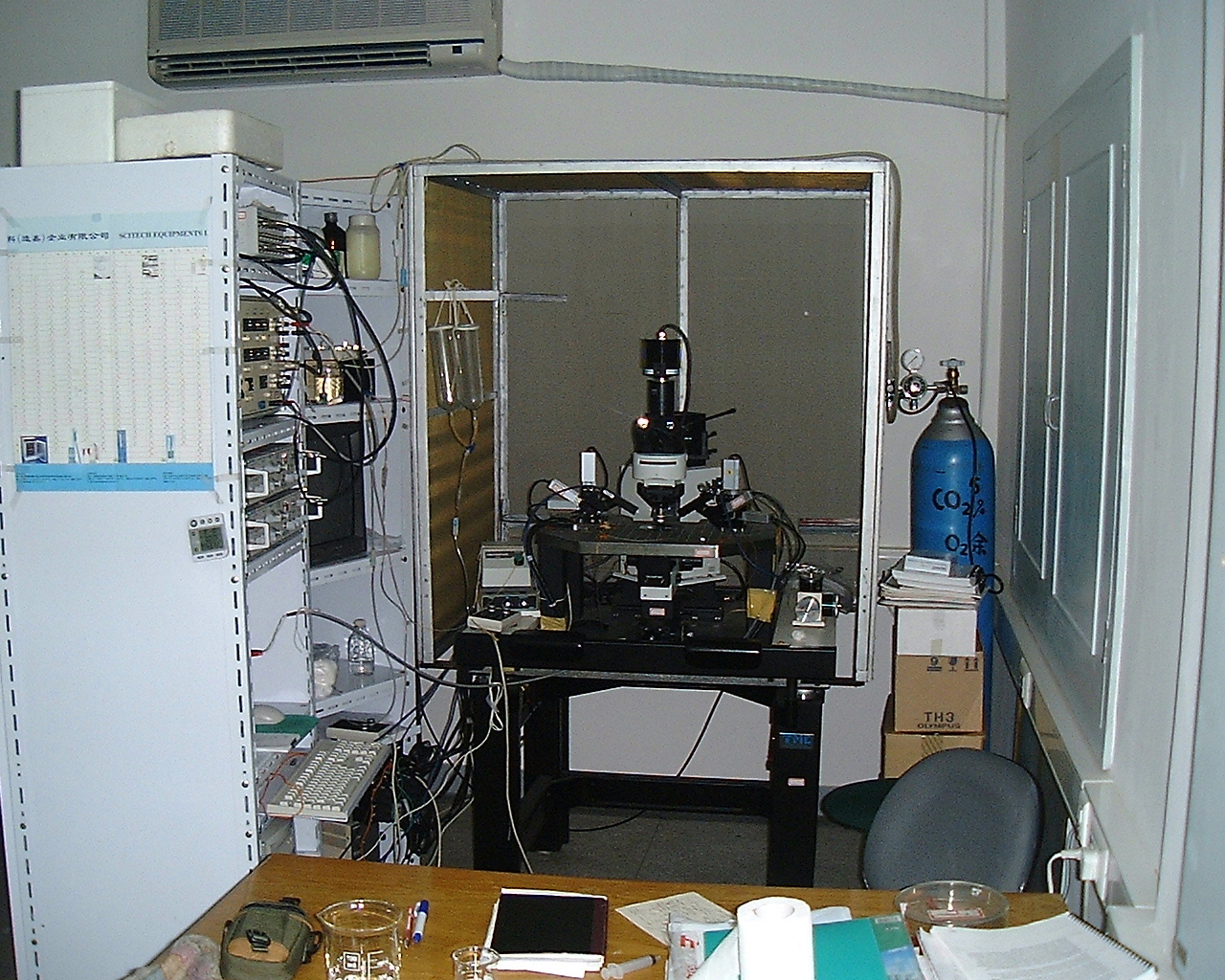 脑片膜片钳记录分析系统